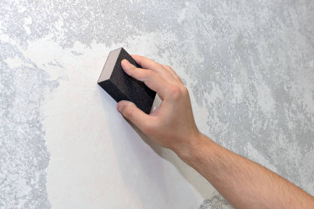 Best Forensic Mold Investigation  in Hawaiian Acres, HI