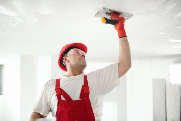 Mold Remediation for Vacation Homes in Hawaiian Acres, HI
