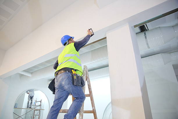 Best Real Estate Mold Inspection  in Hawaiian Acres, HI