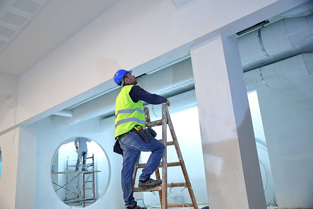 Best Mold Documentation for Insurance Claims  in Hawaiian Acres, HI