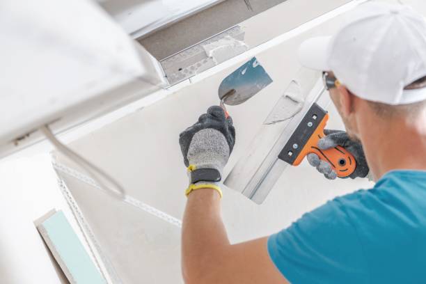 Mold Remediation for Rental Properties in Hawaiian Acres, HI